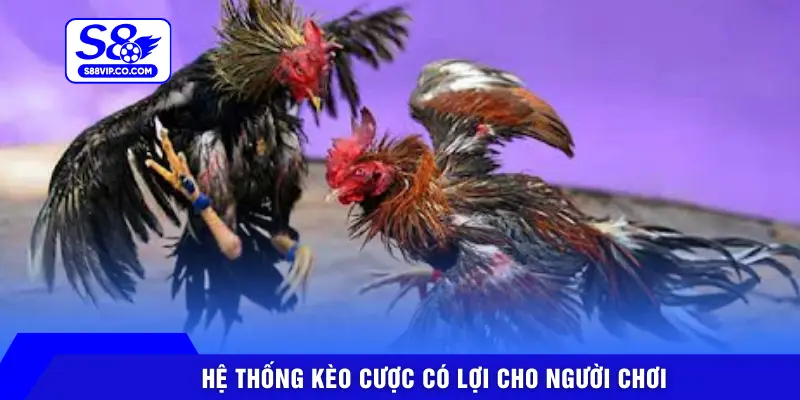 Hệ thống kèo cược có lợi cho người chơi