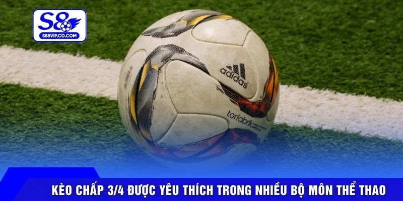 Kèo Chấp 3/4 được yêu thích trong nhiều bộ môn thể thao