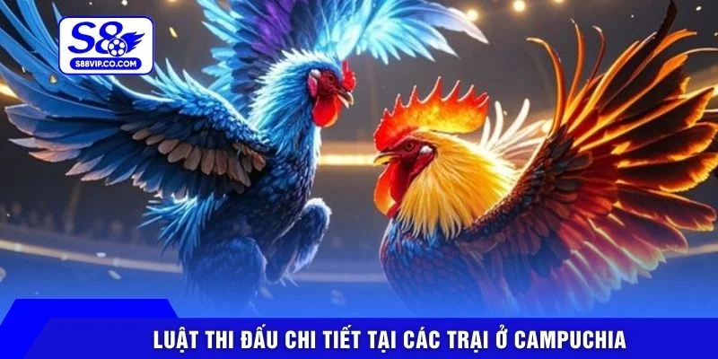 Luật thi đấu chi tiết tại các trại ở Campuchia