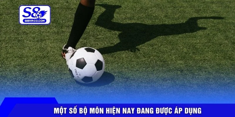 Một số bộ môn hiện nay đang được áp dụng