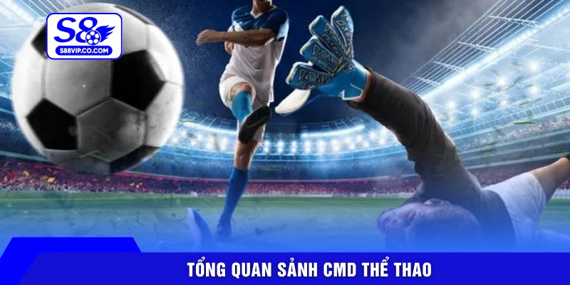 Tổng quan sảnh CMD thể thao