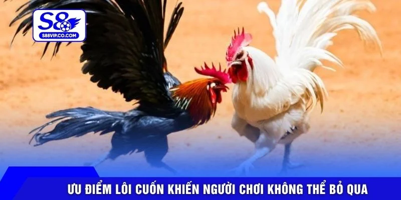 Ưu điểm lôi cuốn khiến người chơi không thể bỏ qua